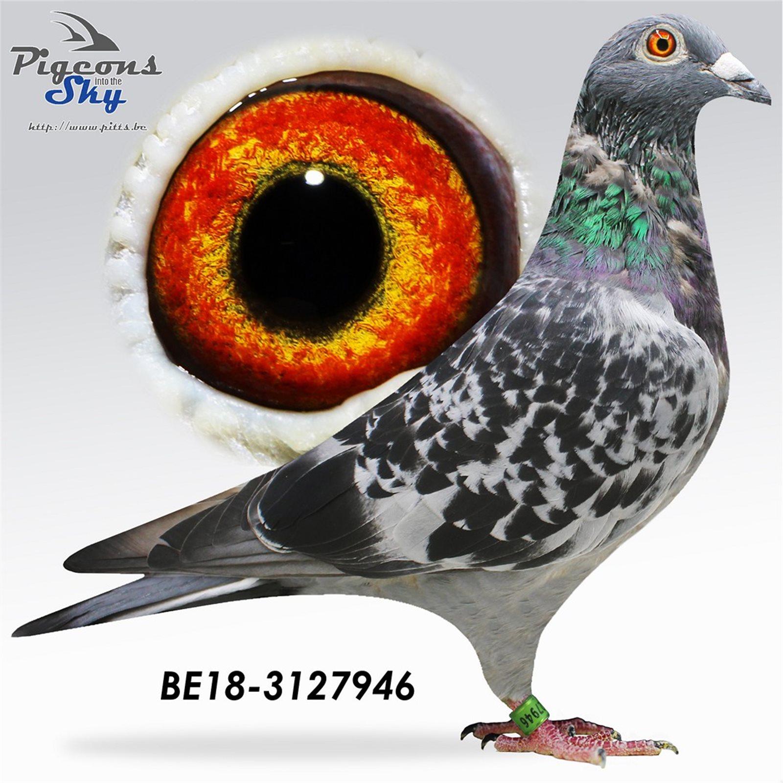 B 23 3089645 M