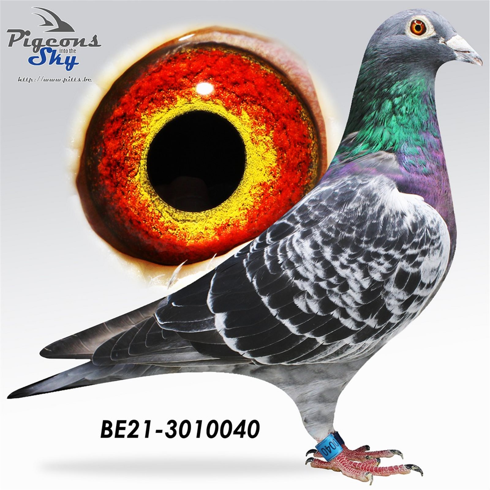 B 21 3010040 M
