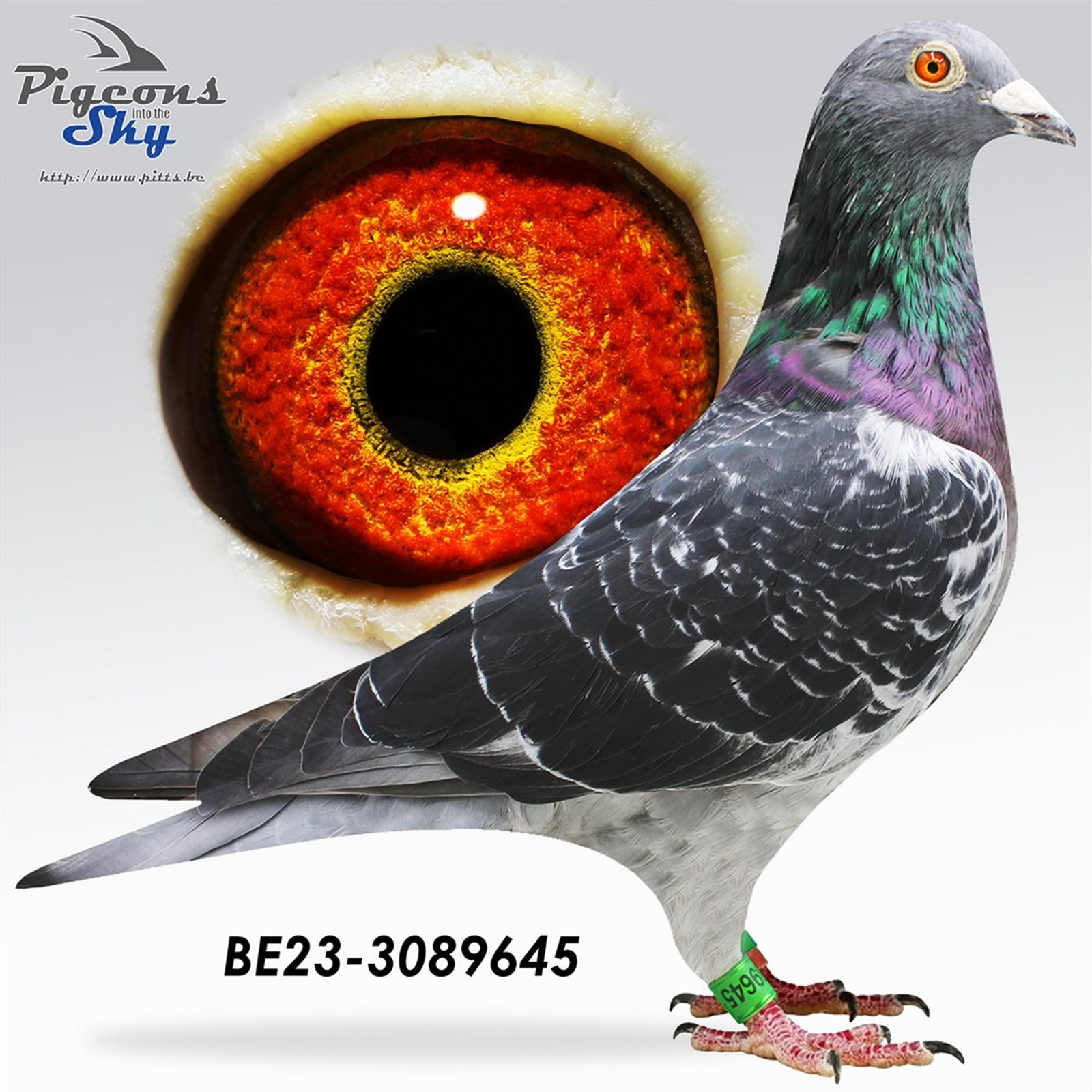 B 23 3089645 M