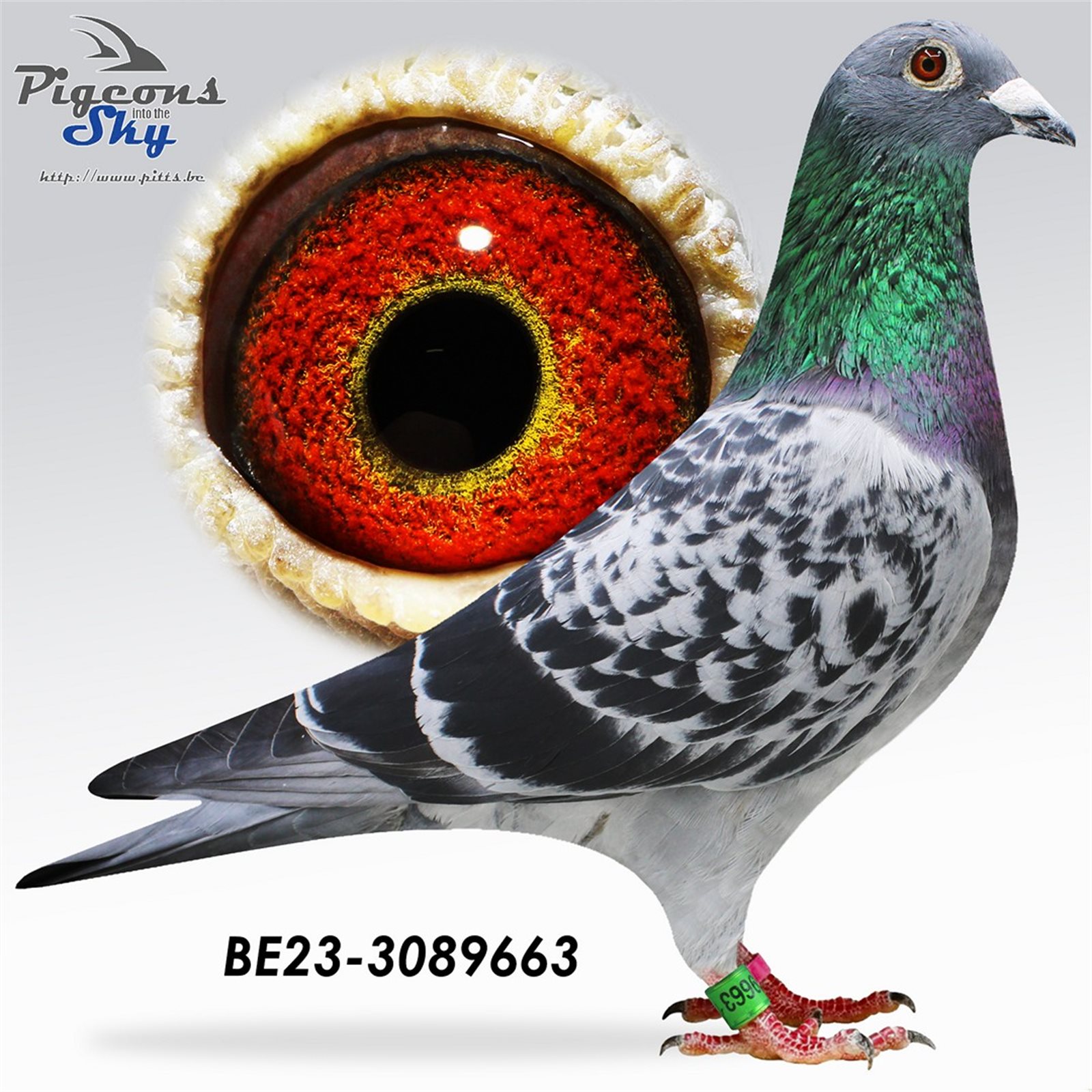 B 23 3089663 M